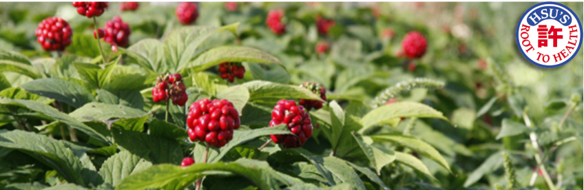 Your trusted source for Wisconsin-grown American Ginseng