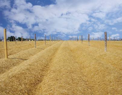 12794728_1750465465176784_4674862478775012189_o (1)