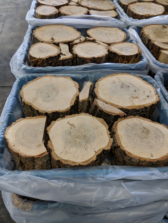 Maker:0x4c,Date:2017-9-27,Ver:4,Lens:Kan03,Act:Lar01,E-Y