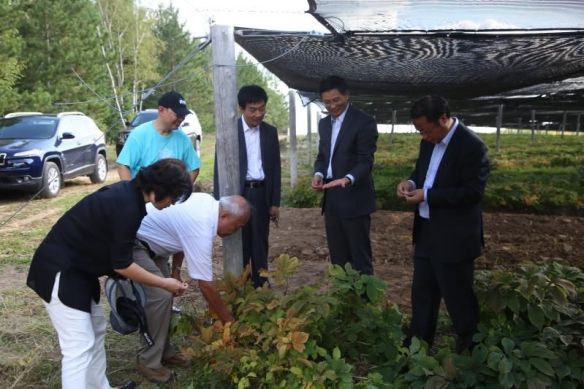 mmexport1537362393160